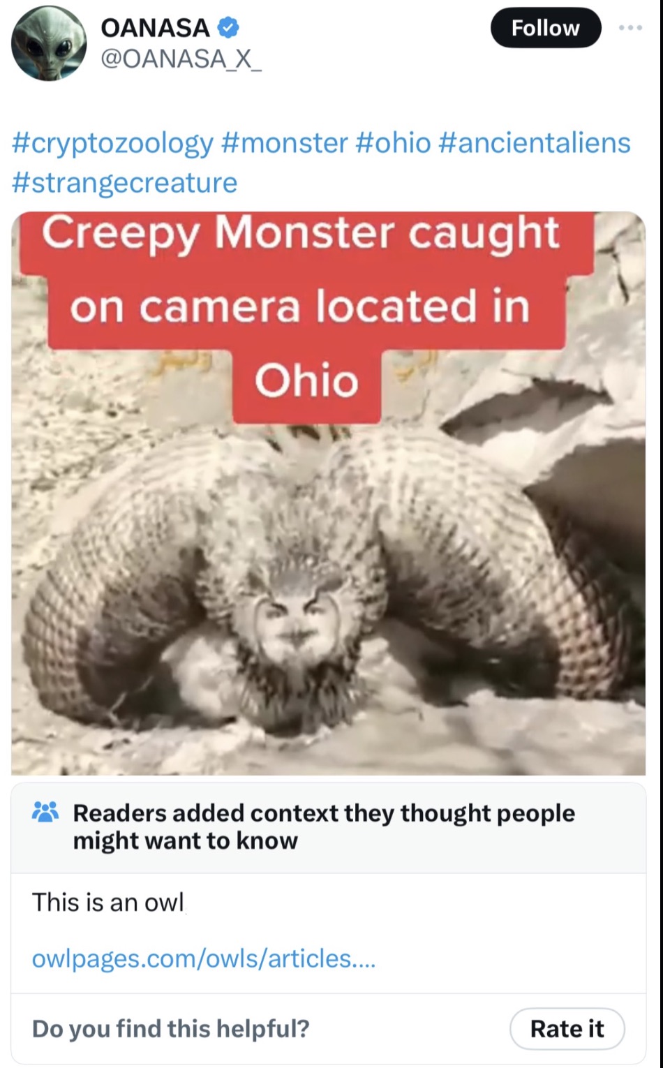 gila monster - Oanasa Creepy Monster caught on camera located in Ohio Readers added context they thought people might want to know This is an owl owlpages.comowlsarticles.... Do you find this helpful? Rate it